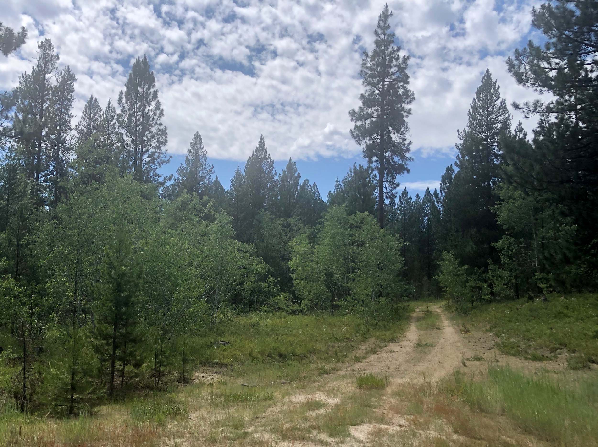 Cascade Lake Realty Whispering Pines